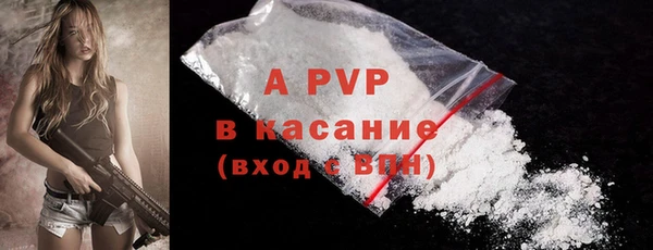 PSILOCYBIN Балахна
