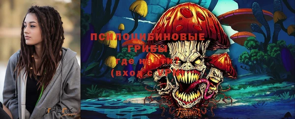 PSILOCYBIN Балахна
